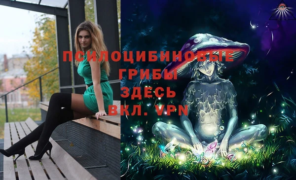 spice Волоколамск