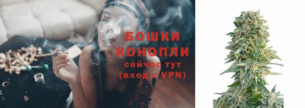 spice Снежногорск