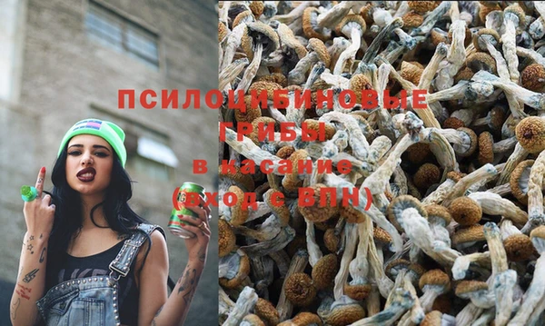 spice Волоколамск